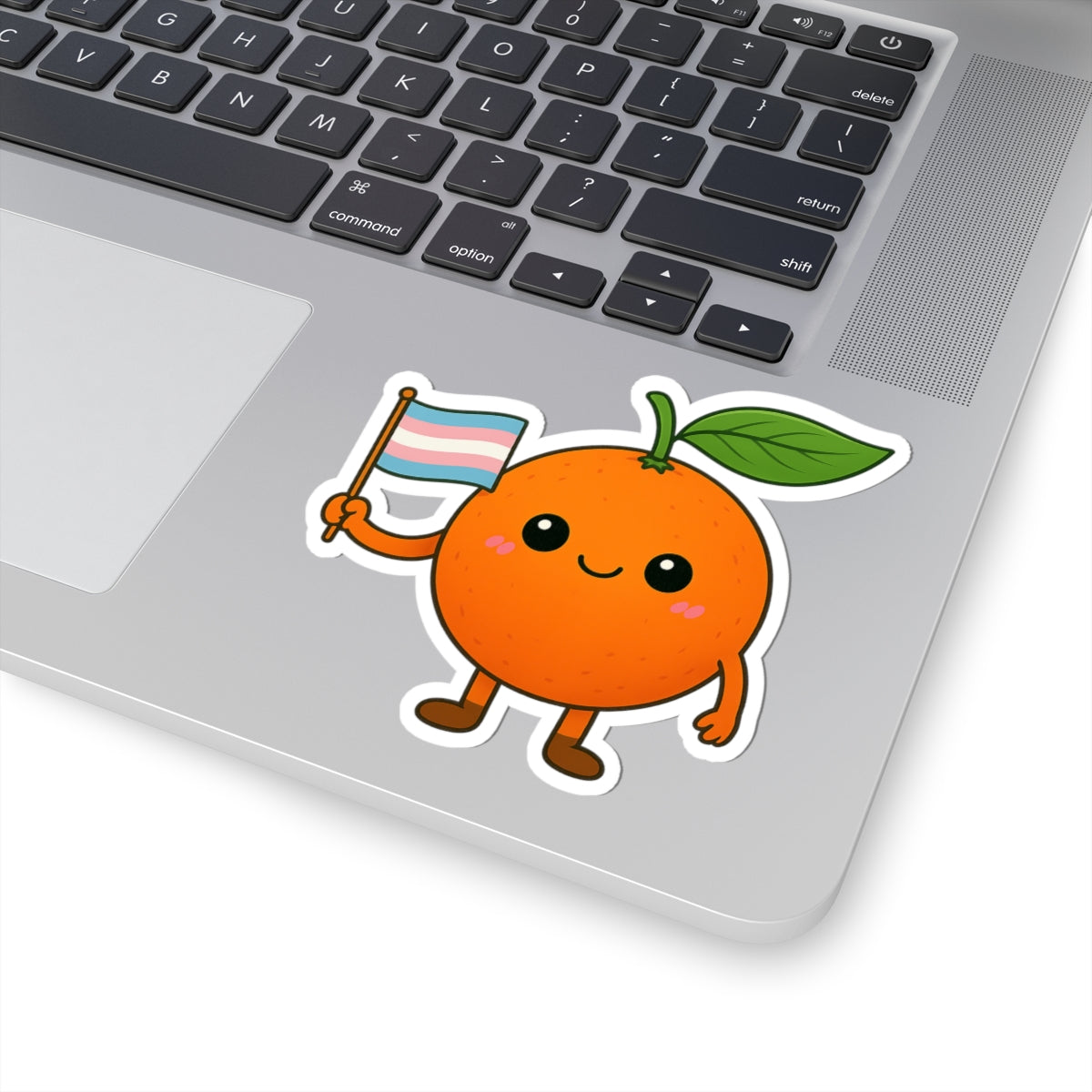Cute Cartoon LGBTQ+ Trans Flag Orange Sticker – Fun, Colorful, and Proud