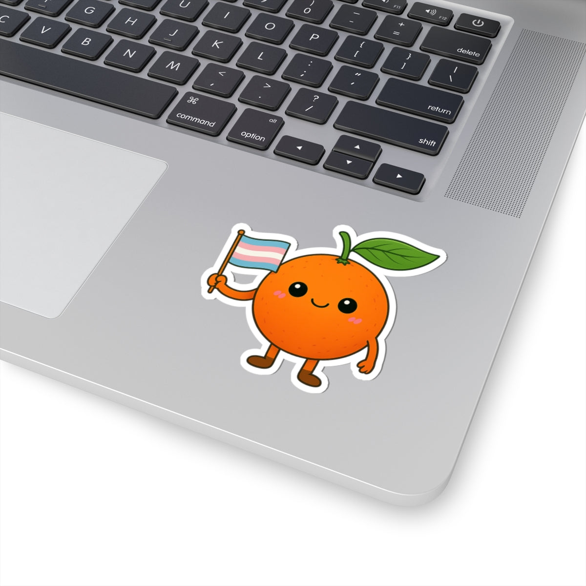 Cute Cartoon LGBTQ+ Trans Flag Orange Sticker – Fun, Colorful, and Proud